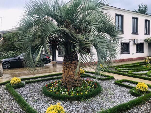 Green Garden Зугдиди Екстериор снимка